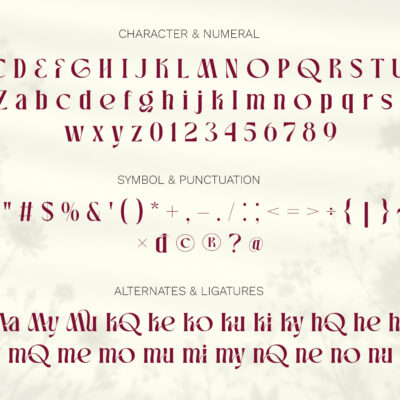 Mukqhe Elegant Serif Font (4) Mukqhe