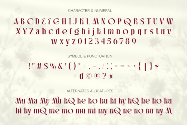 Mukqhe Elegant Serif Font (4) Mukqhe